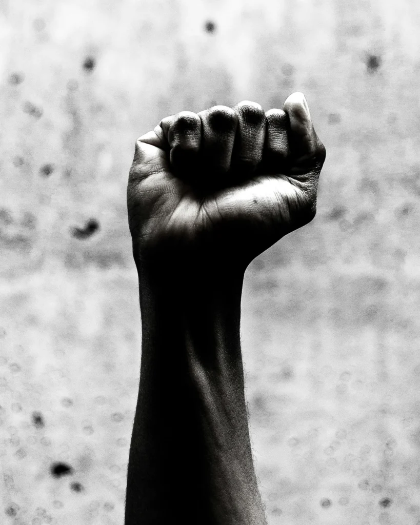 Raised fist symbolizing strength and unity